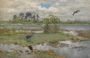 bruno liljefors Landscape With Cranes at the Water oil on canvas